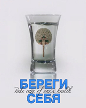 Скрін